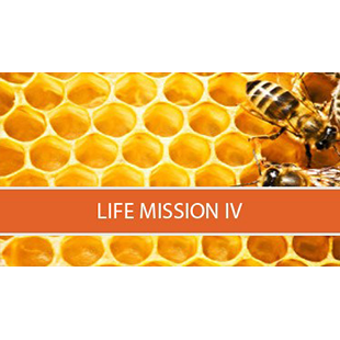 Life Mission IV
