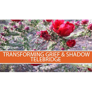 Transforming Grief & Shadow Telebridge