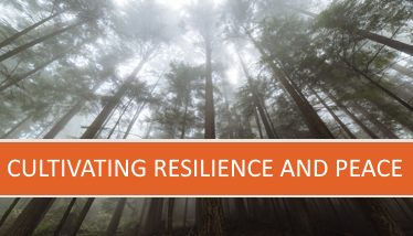 Cultivating Resilience and Peace