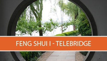 Feng-shui-I-telebridge-icon1