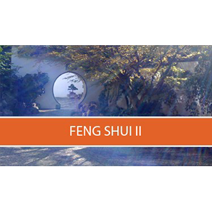 Feng Shui II