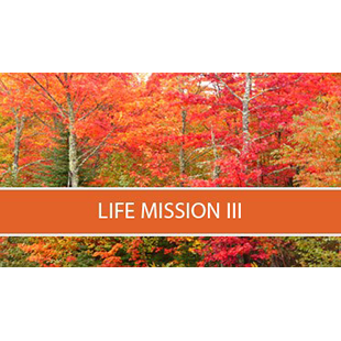 Life Mission III
