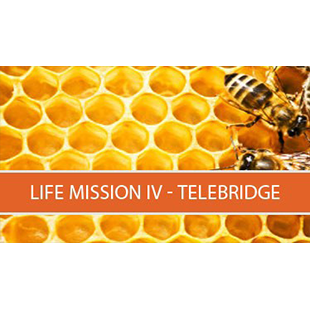Life Mission IV – Telebridge