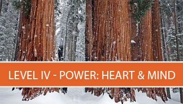 Level-IV-power-heart-mind-icon