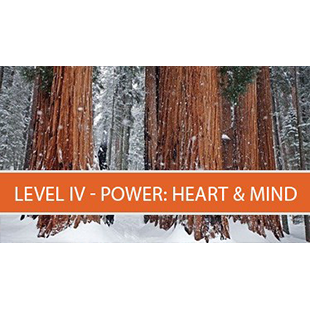 Level IV – Power : Heart & Mind