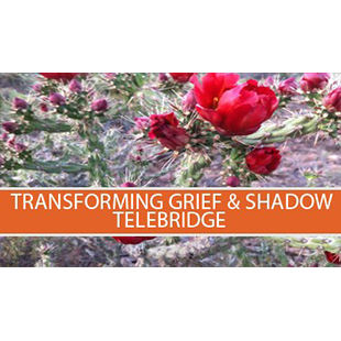 Transforming Grief & Shadow Telebridge